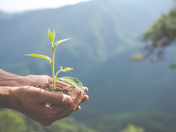 GESTÃO AMBIENTAL