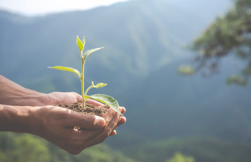 GESTÃO AMBIENTAL